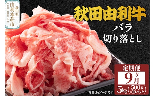 《定期便》9ヶ月連続 秋田由利牛 バラ切り落とし 5kg（500g×10パック）