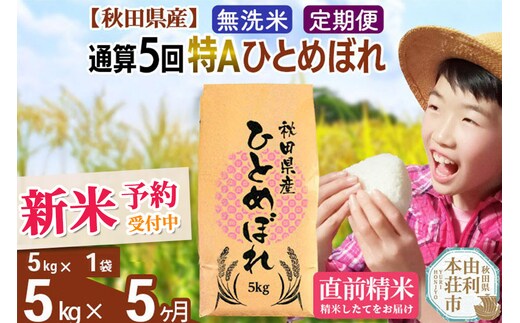 《予約受付》《定期便5ヶ月》令和7年産 【無洗米】通算5回特A 秋田県産ひとめぼれ 計5kg (5kg×1袋) お届け周期調整 隔月もOK