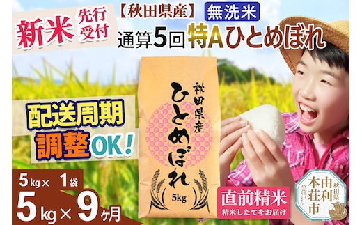《予約受付》《定期便9ヶ月》令和7年産 【無洗米】通算5回特A 秋田県産ひとめぼれ 計5kg (5kg×1袋) お届け周期調整 隔月もOK