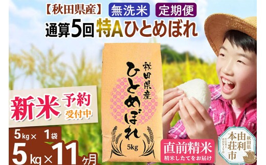 《予約受付》《定期便11ヶ月》令和7年産 【無洗米】通算5回特A 秋田県産ひとめぼれ 計5kg (5kg×1袋) お届け周期調整 隔月もOK