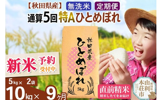 《予約受付》《定期便9ヶ月》令和7年産 【無洗米】通算5回特A 秋田県産ひとめぼれ 計10kg (5kg×2袋) お届け周期調整 隔月もOK