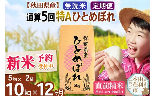《予約受付》《定期便12ヶ月》令和7年産 【無洗米】通算5回特A 秋田県産ひとめぼれ 計10kg (5kg×2袋) お届け周期調整 隔月もOK