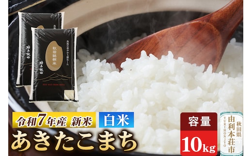 令和7年産 【白米】極上秋田銘柄米 あきたこまち 10kg（5kg×2袋） 【2025年10月下旬出荷予定】