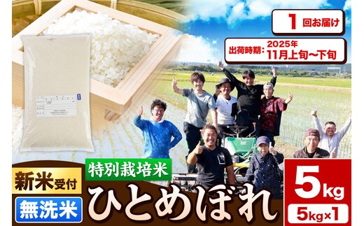《新米受付》令和7年産【無洗米】特別栽培米 ひとめぼれ 5kg 秋田県産【2025年11月上旬～下旬頃出荷予定】