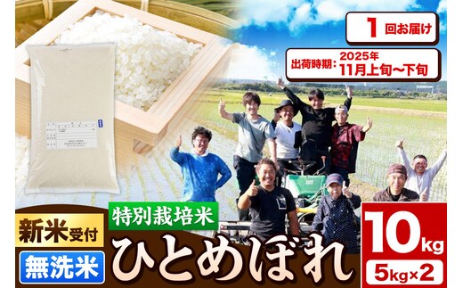 《新米受付》令和7年産【無洗米】特別栽培米 ひとめぼれ 10kg（5kg×2袋）秋田県産【2025年11月上旬～下旬頃出荷予定】