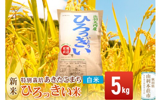【白米】 秋田県産 あきたこまち 5kg 令和7年産 特別栽培米 ひろっきい米
