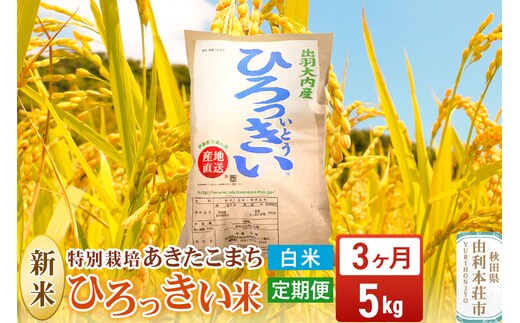 《定期便3ヶ月》【白米】 秋田県産 あきたこまち 5kg 令和7年産 特別栽培米 ひろっきい米