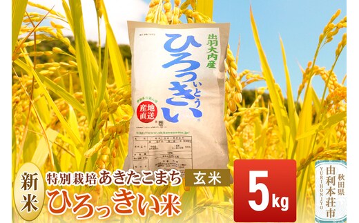 【玄米】 秋田県産 あきたこまち 5kg 令和7年産 特別栽培米 ひろっきい米