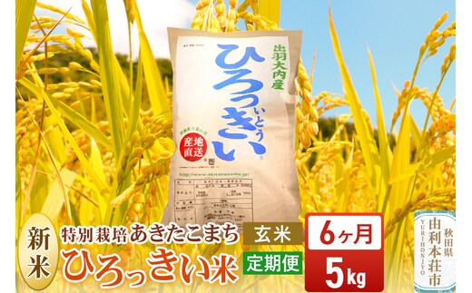 《定期便6ヶ月》【玄米】 秋田県産 あきたこまち 5kg 令和7年産 特別栽培米 ひろっきい米