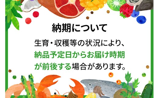 令和6年産 新米予約※《定期便6ヶ月》【無洗米】5年連続特A 秋田県産