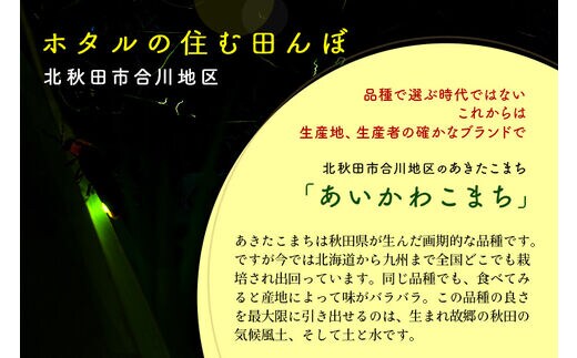 新米＞秋田県産 あきたこまち 50kg【白米】(5kg小分け袋) 【1回のみお