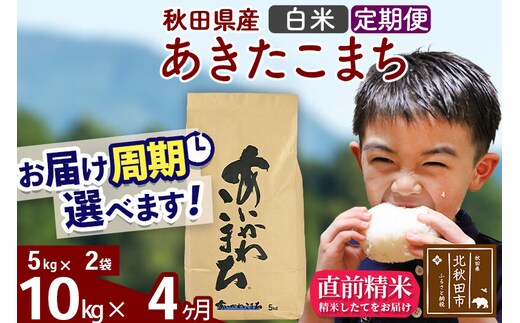 ※令和7年産※《定期便4ヶ月》秋田県産 あきたこまち 10kg【白米】(5kg小分け袋) 2025年産 お届け周期調整可能 隔月に調整OK お米 藤岡農産 [藤岡農産 秋田 お米 あきたこまち 米どころ 東北 北秋田市 定期便 毎月お届け]