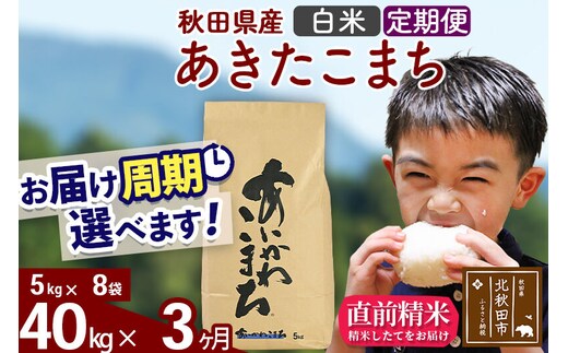 ※令和7年産※《定期便3ヶ月》秋田県産 あきたこまち 40kg【白米】(5kg小分け袋) 2025年産 お届け周期調整可能 隔月に調整OK お米 藤岡農産 [藤岡農産 秋田 お米 あきたこまち 米どころ 東北 北秋田市 定期便 毎月お届け]