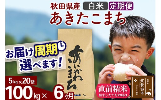 ※令和7年産※《定期便6ヶ月》秋田県産 あきたこまち 100kg【白米】(5kg小分け袋) 2025年産 お届け周期調整可能 隔月に調整OK お米 藤岡農産 [藤岡農産 秋田 お米 あきたこまち 米どころ 東北 北秋田市 定期便 毎月お届け]