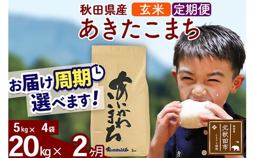 ※令和7年産※《定期便2ヶ月》秋田県産 あきたこまち 20kg【玄米】(5kg小分け袋) 2025年産 お届け周期調整可能 隔月に調整OK お米 藤岡農産 [藤岡農産 秋田 お米 あきたこまち 米どころ 東北 北秋田市 定期便 毎月お届け]