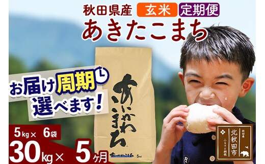 ※令和7年産※《定期便5ヶ月》秋田県産 あきたこまち 30kg【玄米】(5kg小分け袋) 2025年産 お届け周期調整可能 隔月に調整OK お米 藤岡農産 [藤岡農産 秋田 お米 あきたこまち 米どころ 東北 北秋田市 定期便 毎月お届け]