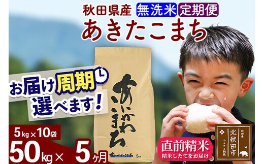 ※令和7年産※《定期便5ヶ月》秋田県産 あきたこまち 50kg【無洗米】(5kg小分け袋) 2025年産 お届け周期調整可能 隔月に調整OK お米 藤岡農産 [藤岡農産 秋田 お米 あきたこまち 米どころ 東北 北秋田市 定期便 毎月お届け]