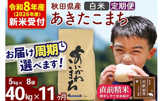 ※R8産 新米予約※ 《定期便11ヶ月》秋田県産 あきたこまち 40kg【白米】(5kg小分け袋) 2026年産 令和8年産 お届け周期調整可能 隔月に調整OK お米 藤岡農産 [藤岡農産 秋田 お米 あきたこまち 米どころ 東北 北秋田市 定期便 毎月お届け]