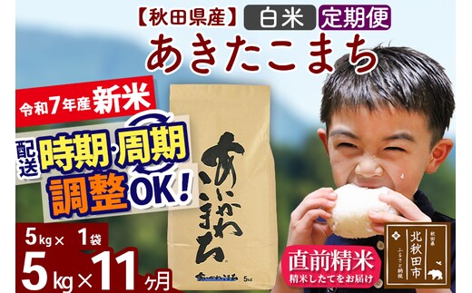 ※令和7年産 新米※《定期便11ヶ月》秋田県産 あきたこまち 5kg【白米】(5kg小分け袋) 2025年産 お届け時期選べる お届け周期調整可能 隔月に調整OK お米 藤岡農産