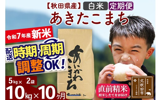 ※令和7年産 新米※《定期便10ヶ月》秋田県産 あきたこまち 10kg【白米】(5kg小分け袋) 2025年産 お届け時期選べる お届け周期調整可能 隔月に調整OK お米 藤岡農産
