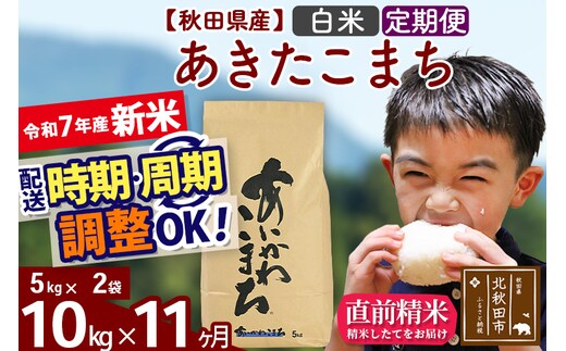 ※令和7年産 新米※《定期便11ヶ月》秋田県産 あきたこまち 10kg【白米】(5kg小分け袋) 2025年産 お届け時期選べる お届け周期調整可能 隔月に調整OK お米 藤岡農産