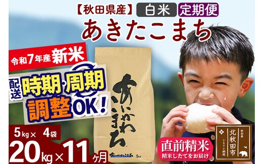 ※令和7年産 新米※《定期便11ヶ月》秋田県産 あきたこまち 20kg【白米】(5kg小分け袋) 2025年産 お届け時期選べる お届け周期調整可能 隔月に調整OK お米 藤岡農産