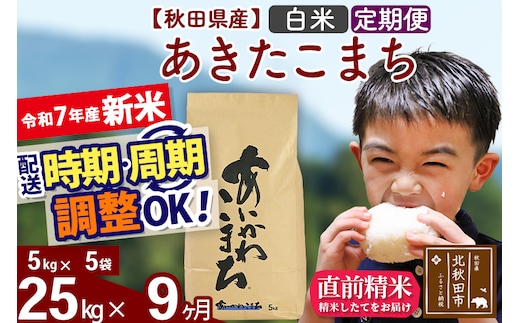 ※令和7年産 新米※《定期便9ヶ月》秋田県産 あきたこまち 25kg【白米】(5kg小分け袋) 2025年産 お届け時期選べる お届け周期調整可能 隔月に調整OK お米 藤岡農産