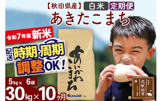 ※令和7年産 新米※《定期便10ヶ月》秋田県産 あきたこまち 30kg【白米】(5kg小分け袋) 2025年産 お届け時期選べる お届け周期調整可能 隔月に調整OK お米 藤岡農産