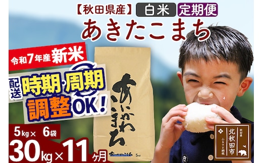※令和7年産 新米※《定期便11ヶ月》秋田県産 あきたこまち 30kg【白米】(5kg小分け袋) 2025年産 お届け時期選べる お届け周期調整可能 隔月に調整OK お米 藤岡農産