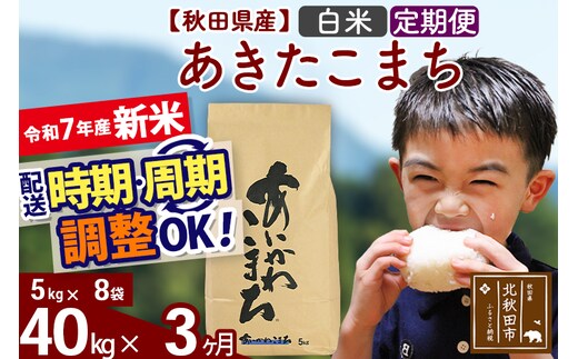 ※令和7年産 新米※《定期便3ヶ月》秋田県産 あきたこまち 40kg【白米】(5kg小分け袋) 2025年産 お届け時期選べる お届け周期調整可能 隔月に調整OK お米 藤岡農産