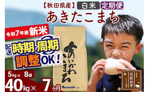 ※令和7年産 新米※《定期便7ヶ月》秋田県産 あきたこまち 40kg【白米】(5kg小分け袋) 2025年産 お届け時期選べる お届け周期調整可能 隔月に調整OK お米 藤岡農産