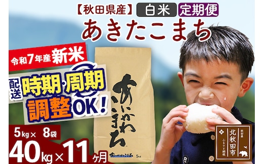 ※令和7年産 新米※《定期便11ヶ月》秋田県産 あきたこまち 40kg【白米】(5kg小分け袋) 2025年産 お届け時期選べる お届け周期調整可能 隔月に調整OK お米 藤岡農産
