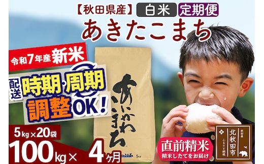 ※令和7年産 新米※《定期便4ヶ月》秋田県産 あきたこまち 100kg【白米】(5kg小分け袋) 2025年産 お届け時期選べる お届け周期調整可能 隔月に調整OK お米 藤岡農産