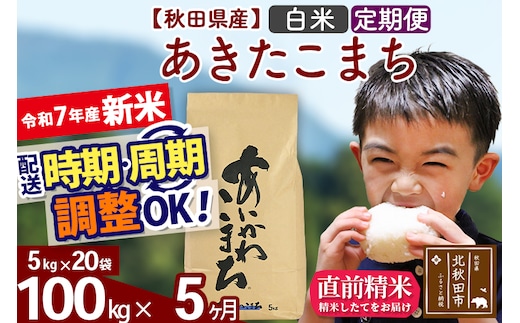 ※令和7年産 新米※《定期便5ヶ月》秋田県産 あきたこまち 100kg【白米】(5kg小分け袋) 2025年産 お届け時期選べる お届け周期調整可能 隔月に調整OK お米 藤岡農産
