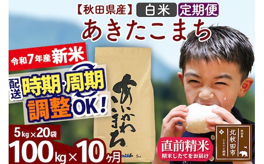 ※令和7年産 新米※《定期便10ヶ月》秋田県産 あきたこまち 100kg【白米】(5kg小分け袋) 2025年産 お届け時期選べる お届け周期調整可能 隔月に調整OK お米 藤岡農産
