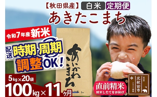 ※令和7年産 新米※《定期便11ヶ月》秋田県産 あきたこまち 100kg【白米】(5kg小分け袋) 2025年産 お届け時期選べる お届け周期調整可能 隔月に調整OK お米 藤岡農産