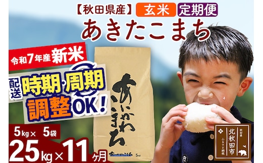 ※令和7年産 新米※《定期便11ヶ月》秋田県産 あきたこまち 25kg【玄米】(5kg小分け袋) 2025年産 お届け時期選べる お届け周期調整可能 隔月に調整OK お米 藤岡農産