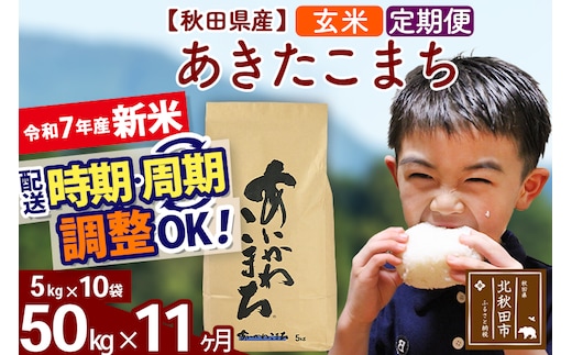 ※令和7年産 新米※《定期便11ヶ月》秋田県産 あきたこまち 50kg【玄米】(5kg小分け袋) 2025年産 お届け時期選べる お届け周期調整可能 隔月に調整OK お米 藤岡農産