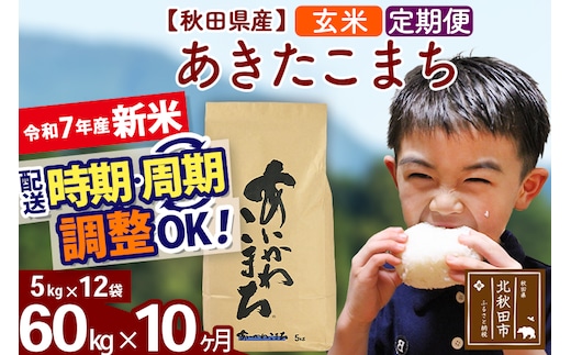 ※令和7年産 新米※《定期便10ヶ月》秋田県産 あきたこまち 60kg【玄米】(5kg小分け袋) 2025年産 お届け時期選べる お届け周期調整可能 隔月に調整OK お米 藤岡農産