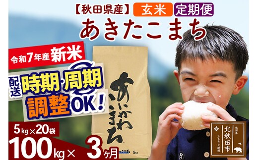 ※令和7年産 新米※《定期便3ヶ月》秋田県産 あきたこまち 100kg【玄米】(5kg小分け袋) 2025年産 お届け時期選べる お届け周期調整可能 隔月に調整OK お米 藤岡農産