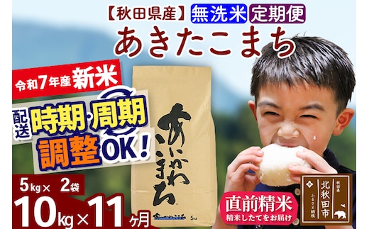※令和7年産 新米※《定期便11ヶ月》秋田県産 あきたこまち 10kg【無洗米】(5kg小分け袋) 2025年産 お届け時期選べる お届け周期調整可能 隔月に調整OK お米 藤岡農産