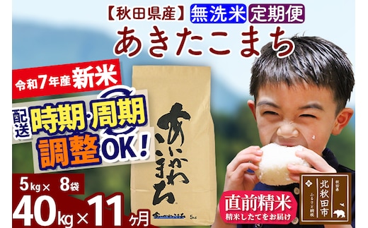※令和7年産 新米※《定期便11ヶ月》秋田県産 あきたこまち 40kg【無洗米】(5kg小分け袋) 2025年産 お届け時期選べる お届け周期調整可能 隔月に調整OK お米 藤岡農産