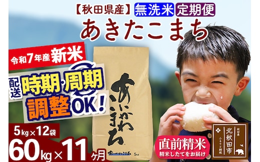 ※令和7年産 新米※《定期便11ヶ月》秋田県産 あきたこまち 60kg【無洗米】(5kg小分け袋) 2025年産 お届け時期選べる お届け周期調整可能 隔月に調整OK お米 藤岡農産