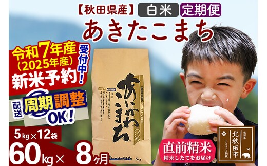 ※令和7年産 新米予約※《定期便8ヶ月》秋田県産 あきたこまち 60kg【白米】(5kg小分け袋) 2025年産 お届け時期選べる お届け周期調整可能 隔月に調整OK お米 藤岡農産
