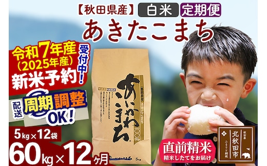 ※令和7年産 新米予約※《定期便12ヶ月》秋田県産 あきたこまち 60kg【白米】(5kg小分け袋) 2025年産 お届け時期選べる お届け周期調整可能 隔月に調整OK お米 藤岡農産