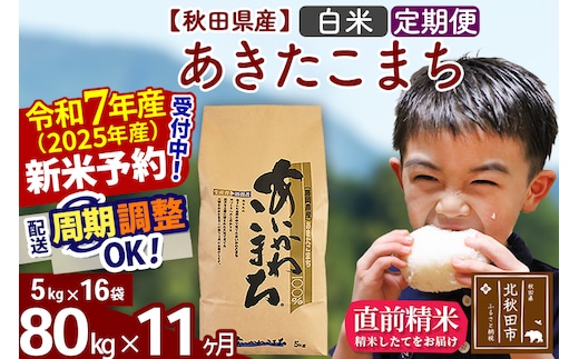 ※令和7年産 新米予約※《定期便11ヶ月》秋田県産 あきたこまち 80kg【白米】(5kg小分け袋) 2025年産 お届け時期選べる お届け周期調整可能 隔月に調整OK お米 藤岡農産
