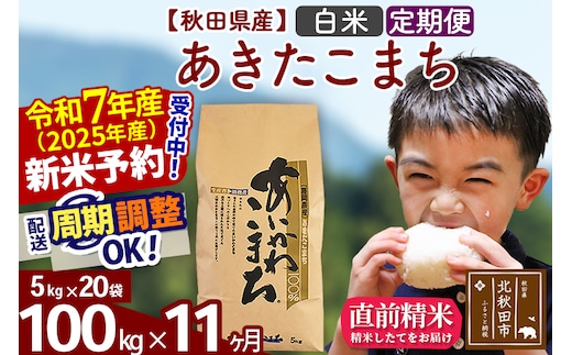 ※令和7年産 新米予約※《定期便11ヶ月》秋田県産 あきたこまち 100kg【白米】(5kg小分け袋) 2025年産 お届け時期選べる お届け周期調整可能 隔月に調整OK お米 藤岡農産