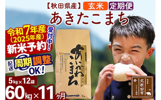 ※令和7年産 新米予約※《定期便11ヶ月》秋田県産 あきたこまち 60kg【玄米】(5kg小分け袋) 2025年産 お届け時期選べる お届け周期調整可能 隔月に調整OK お米 藤岡農産