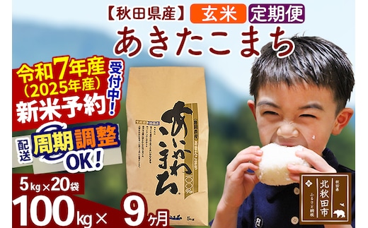 ※令和7年産 新米予約※《定期便9ヶ月》秋田県産 あきたこまち 100kg【玄米】(5kg小分け袋) 2025年産 お届け時期選べる お届け周期調整可能 隔月に調整OK お米 藤岡農産