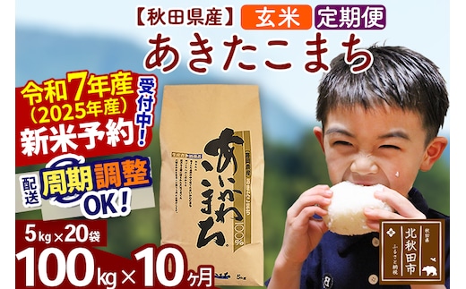 ※令和7年産 新米予約※《定期便10ヶ月》秋田県産 あきたこまち 100kg【玄米】(5kg小分け袋) 2025年産 お届け時期選べる お届け周期調整可能 隔月に調整OK お米 藤岡農産